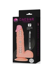 Caesar Treasure Dildo Realístico Función Up&Down - Comprar Vibrador realista Baile - Vibradores realísticos (2)