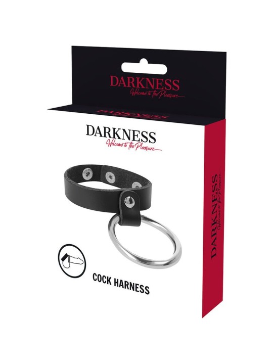 Darkness Anillo De Metal Para El Pene & Testículos - Comprar Castidad masculina Darkness - Castidad masculina (4)