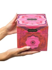 Kamasutra Cofre Treasure Trove - Comprar Kit masaje erótico Kamasutra - Kits de masaje erótico (2)