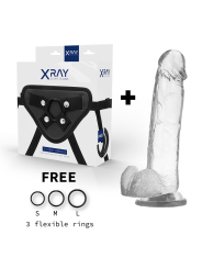 Xray Arnés + Dildo Realista Transparente 22 cm | Arnés Dildo