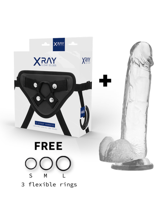 Xray Arnés + Dildo Realista Transparente 22 cm | Arnés Dildo