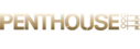 Penthouse Lingerie logo